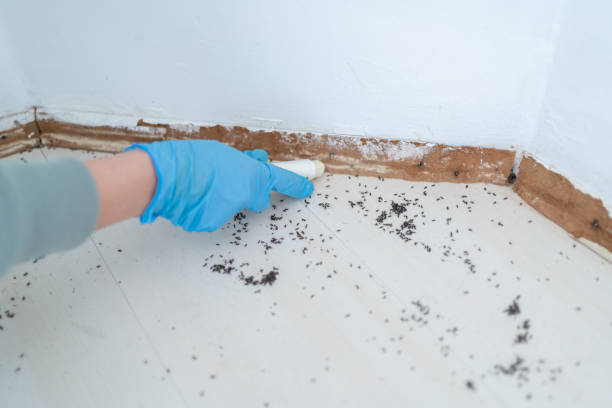 Best Pest Exclusion Services  in Laurel Hill, VA